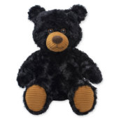 Black Hug-able Teddy Bear Stuffed Animal (Front w/o shirt)