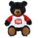 Black Hug-able Teddy Bear Stuffed Animal