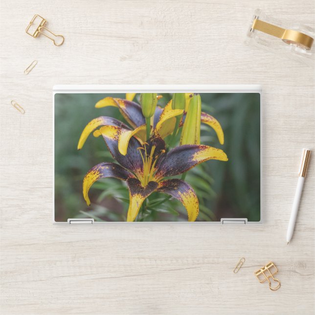 Black Hybrid Asiatic Lily, Exotic Flower Photo HP Laptop Skin (Desk)
