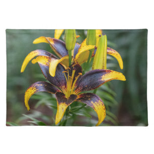 Black Hybrid Asiatic Lily, Flower Photography Cloth Placemat