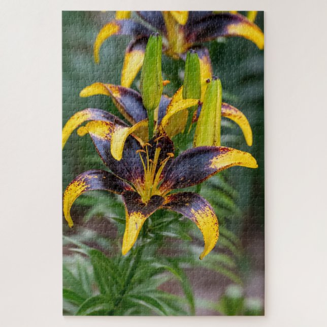 Black Hybrid Lily – Dramatic Floral Photo Jigsaw Puzzle (Vertical)