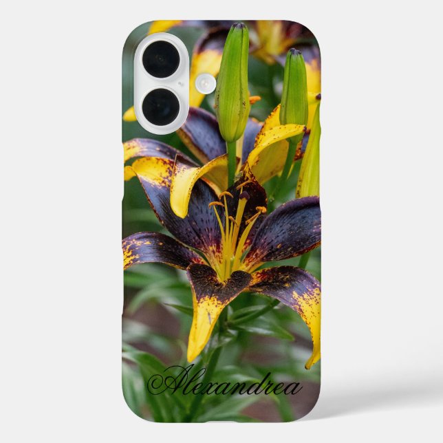 Black Hybrid Lily – Striking Flower Photography Case-Mate iPhone Case (Back)