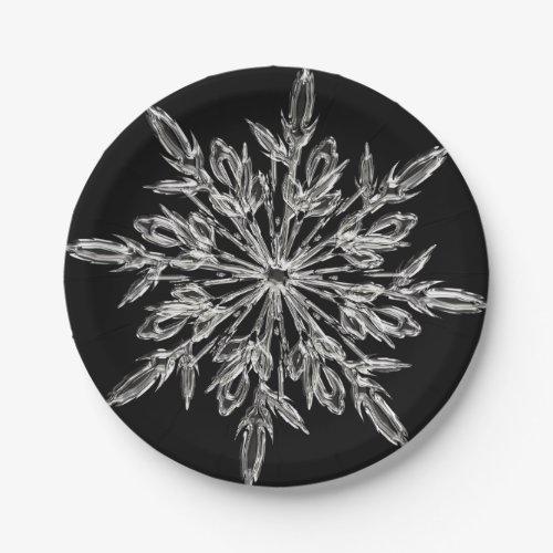 Black Ice Crystal Paper Plates