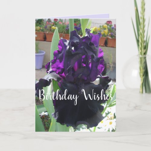 Black Iris Flower Floral Photo Love Birthday Card