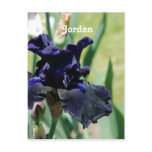 Black Iris Postcard