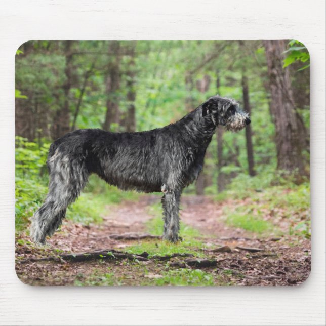 Black Irish Wolfhound Posing in a Forest Mouse Pad (Front)