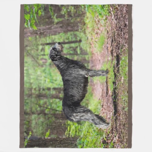 Black Irish Wolfhound posing in the forest Fleece Blanket
