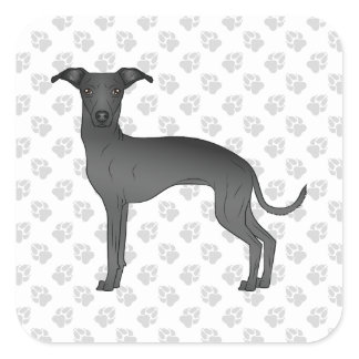 Black Italian Greyhound Cute Cartoon Dog With Paws Square Sticker