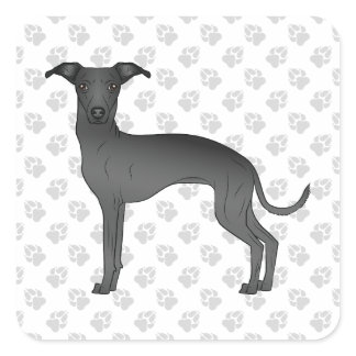 Black Italian Greyhound Cute Cartoon Dog With Paws Square Sticker