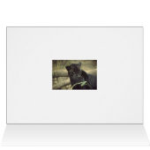 Black_jaguar art cards (Inside Horizontal (Top))