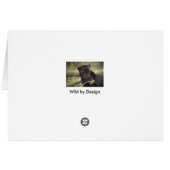 Black_jaguar art cards (Back Horizontal)
