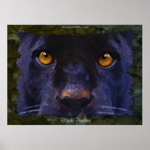 BLACK JAGUAR ~ BLACK PANTHER larger Art Print