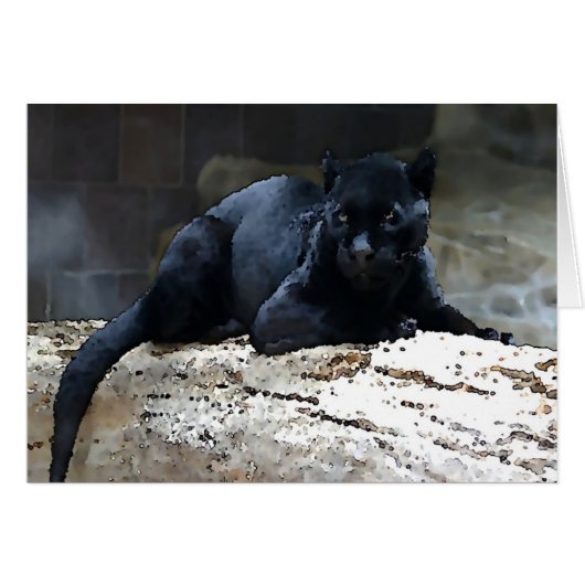 Black Jaguar Cards (Front Horizontal)
