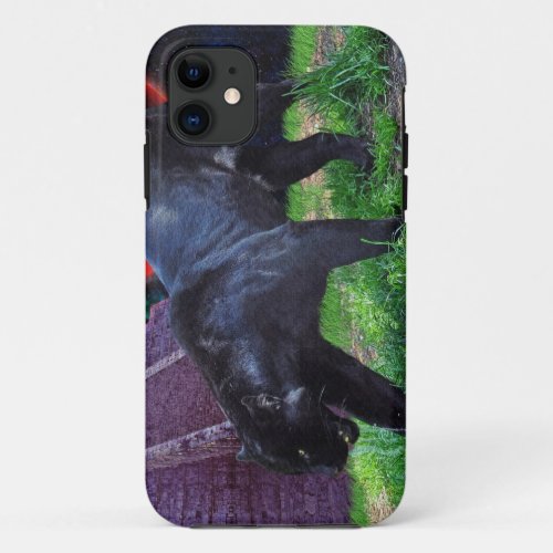 Black Jaguar Fantasy iPhone 5 Case