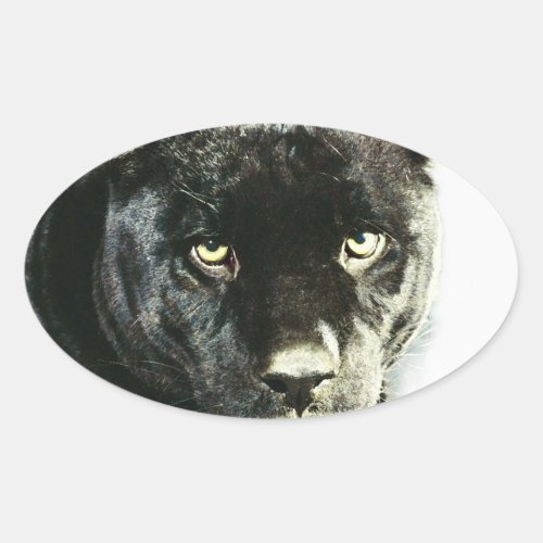 Black Jaguar Panther Eyes Oval Stickers