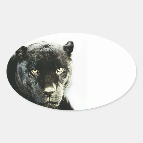 Black Jaguar Panther Oval Sticker