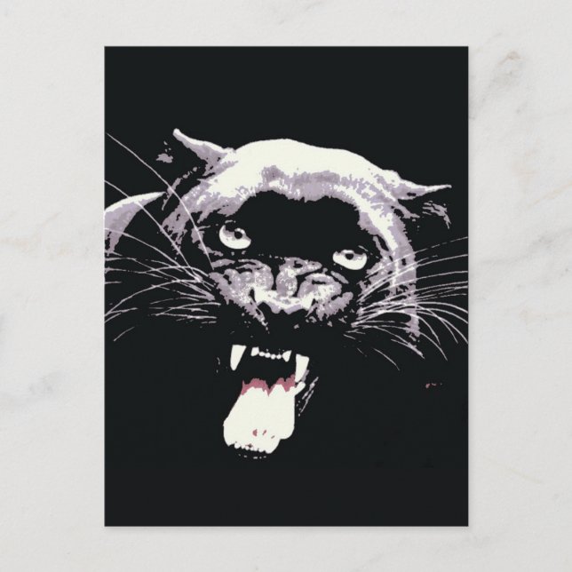 Black Jaguar Panther Postcard (Front)