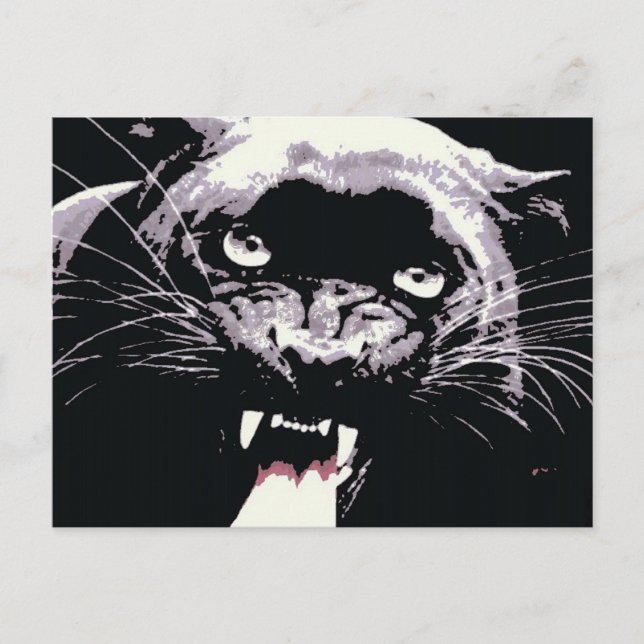 Black Jaguar Panther Postcard (Front)