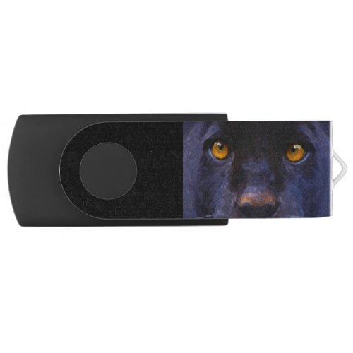 Black Jaguar Puma Eyes on a USB Flash Drive