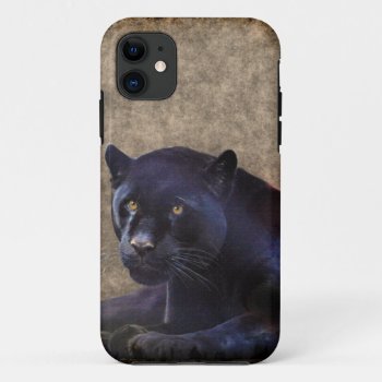 Black Jaguar & Rustic Grunge Bg Iphone 5 Case by WeveGotYouCovered at Zazzle