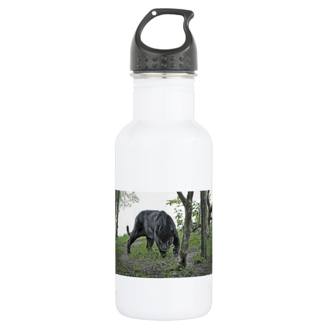 Black Jaguar Stalking Stainless Steel Water Bottle (Front)