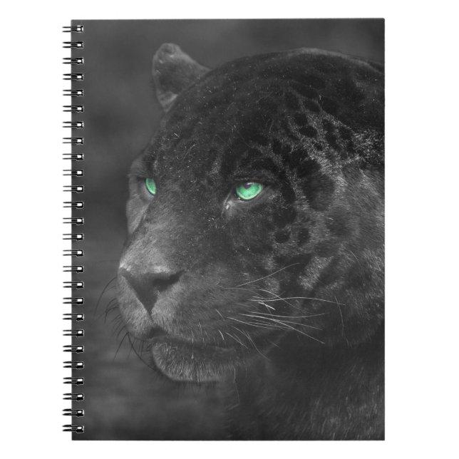 Black Jaguars Emerald Gaze Notebook (Front)