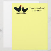Black Java Chickens (Front/Back)