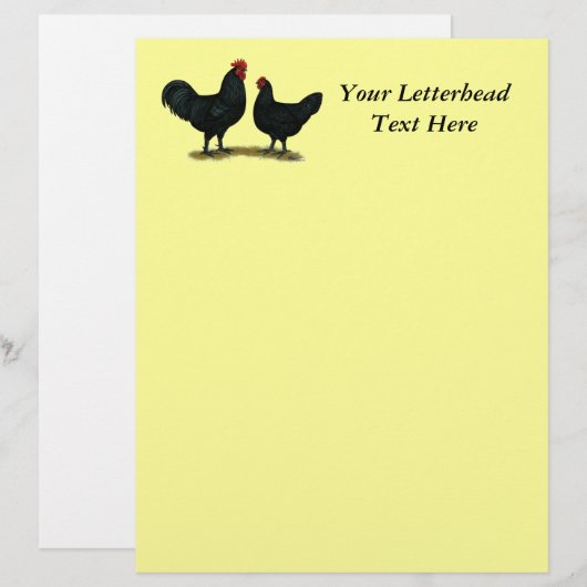 Black Java Chickens (Front/Back)