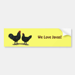 Black Java Chickens Bumper Sticker