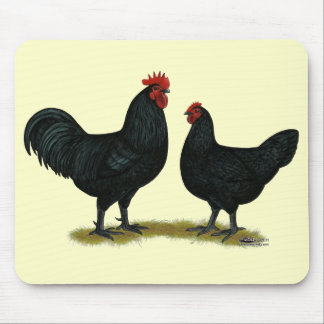 Black Java Chickens Mouse Pad