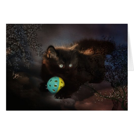 Black Jellybean Cards (Front Horizontal)