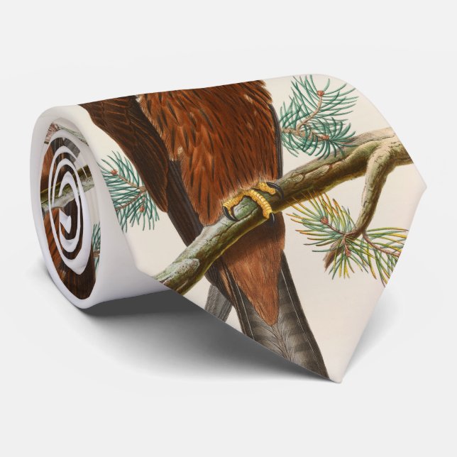 Black Kite Hawk John Gould Birds of Great Britain Neck Tie (Rolled)