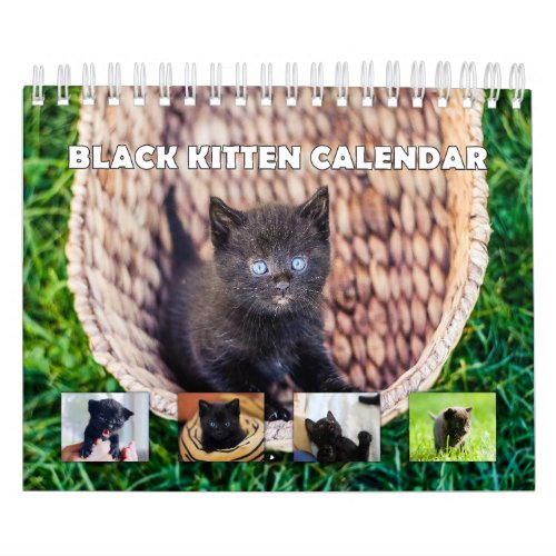 Black Kitten  Calendar