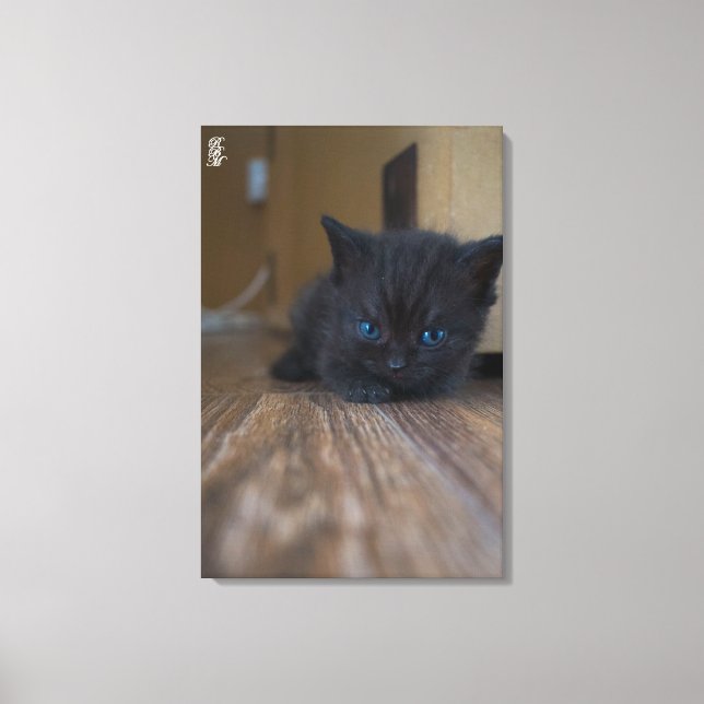Black Kitten Canvas Print (Front)