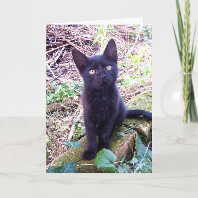 Black Kitten Card (Front)