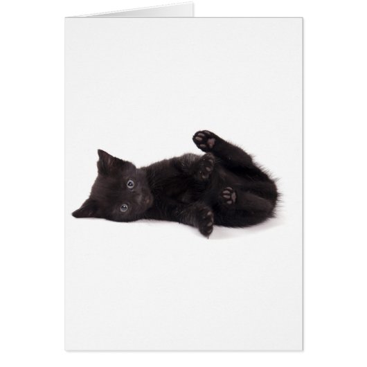 black kitten cards (Front)