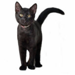 Black Kitten Cutout<br><div class="desc">This little black kitten makes a cute 3D keychain</div>