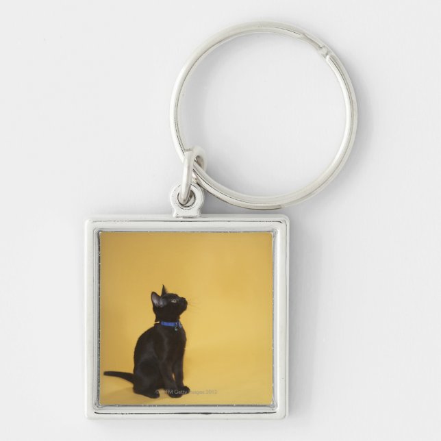 Black kitten in collar keychain (Front)