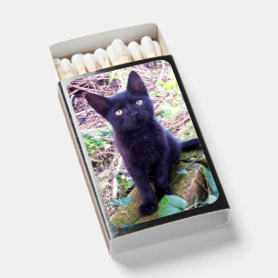 Black Kitten Matchboxes