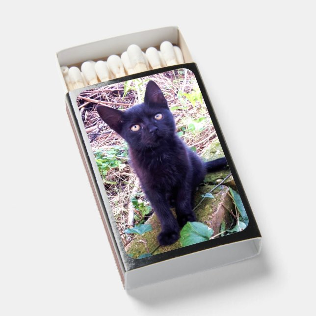 Black Kitten Matchboxes (Front Open)