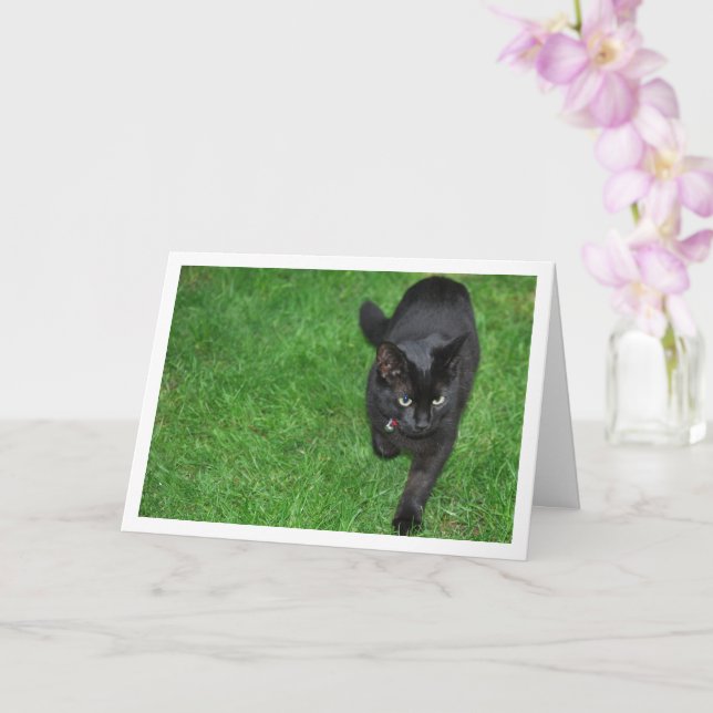 Black Kitten on Grass Card (Orchid)
