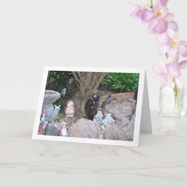 Black Kitten on Rockery Card (Orchid)