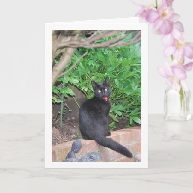 Black Kitten on Wall Card (Orchid)