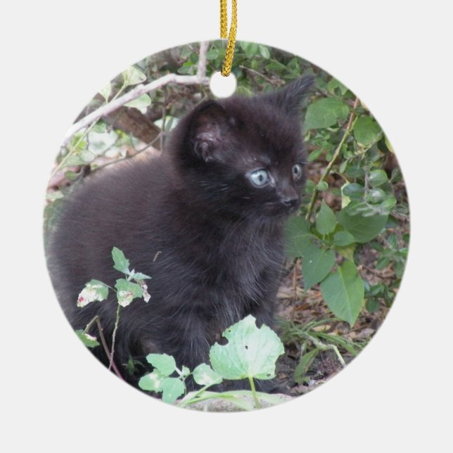 Black kitten ornament (Front)