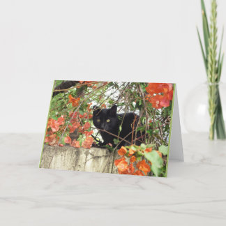 Black Kitten Peeking Through Orange Bougainvillea Card