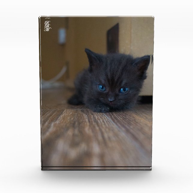 Black Kitten Photo Block (Front)