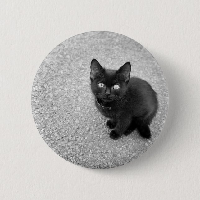 Black Kitten Pinback Button (Front)