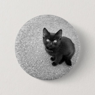 Black Kitten Pinback Button
