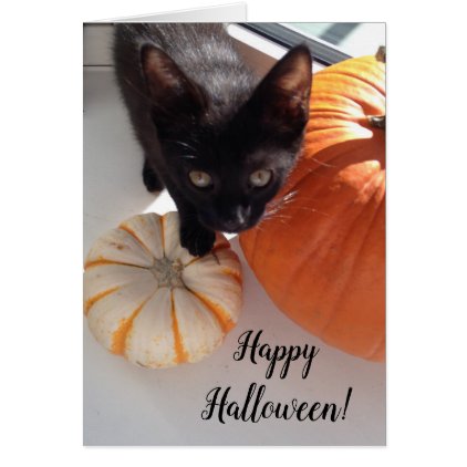 Black Kitten Pumpkin Happy Halloween Greeting Card