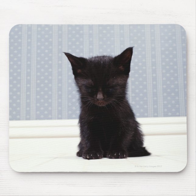 BLACK KITTEN SLEEPING MOUSE PAD (Front)